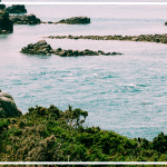 Ile-de-Brehat